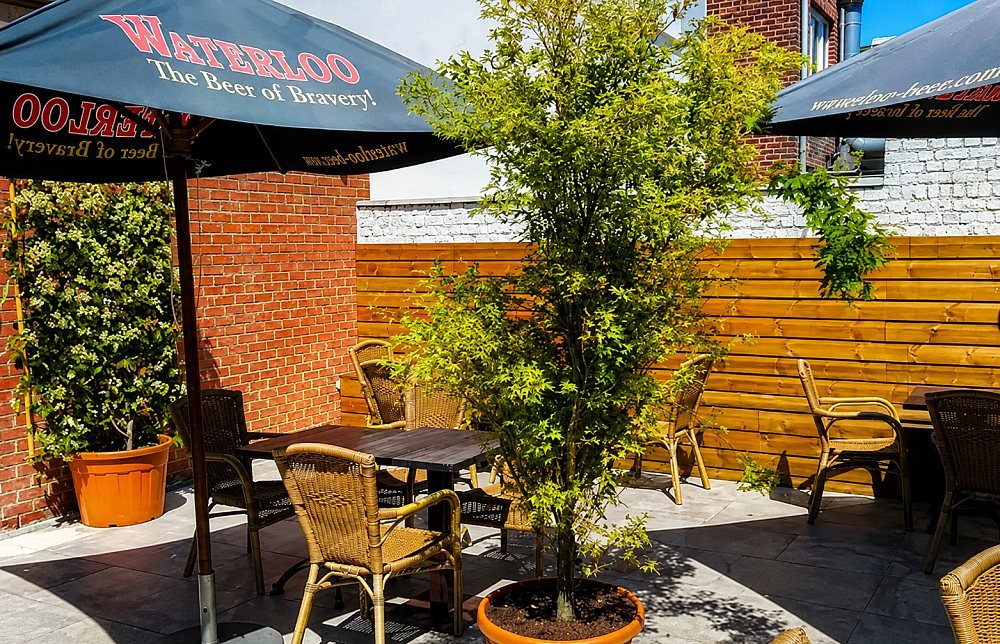 La terrasse arrière